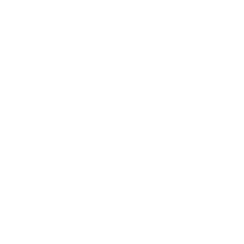 Logo: Hahnair Lines